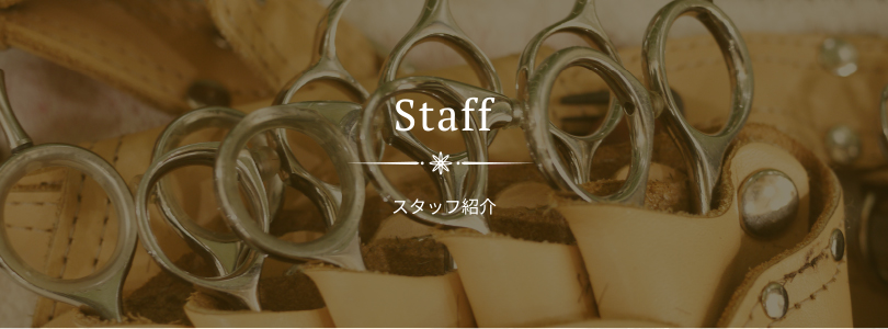 Staff